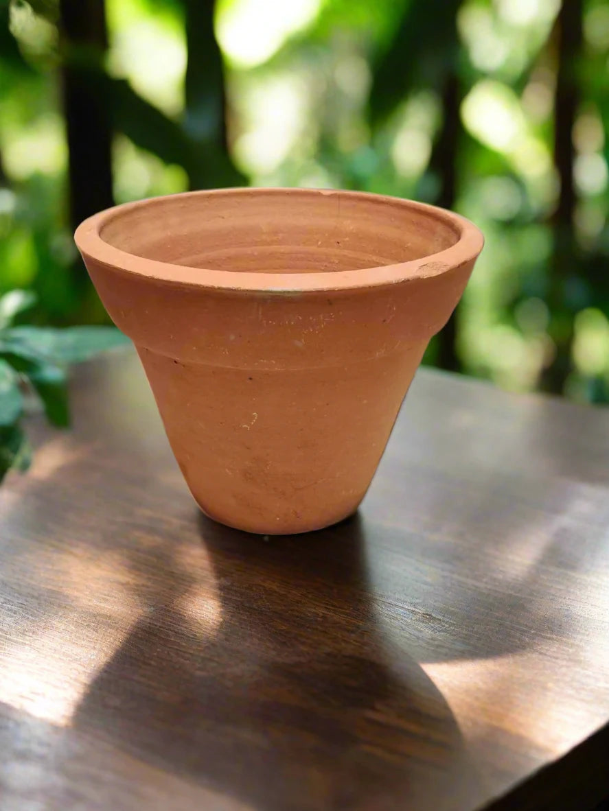 Buy Terracotta Pot Near Me