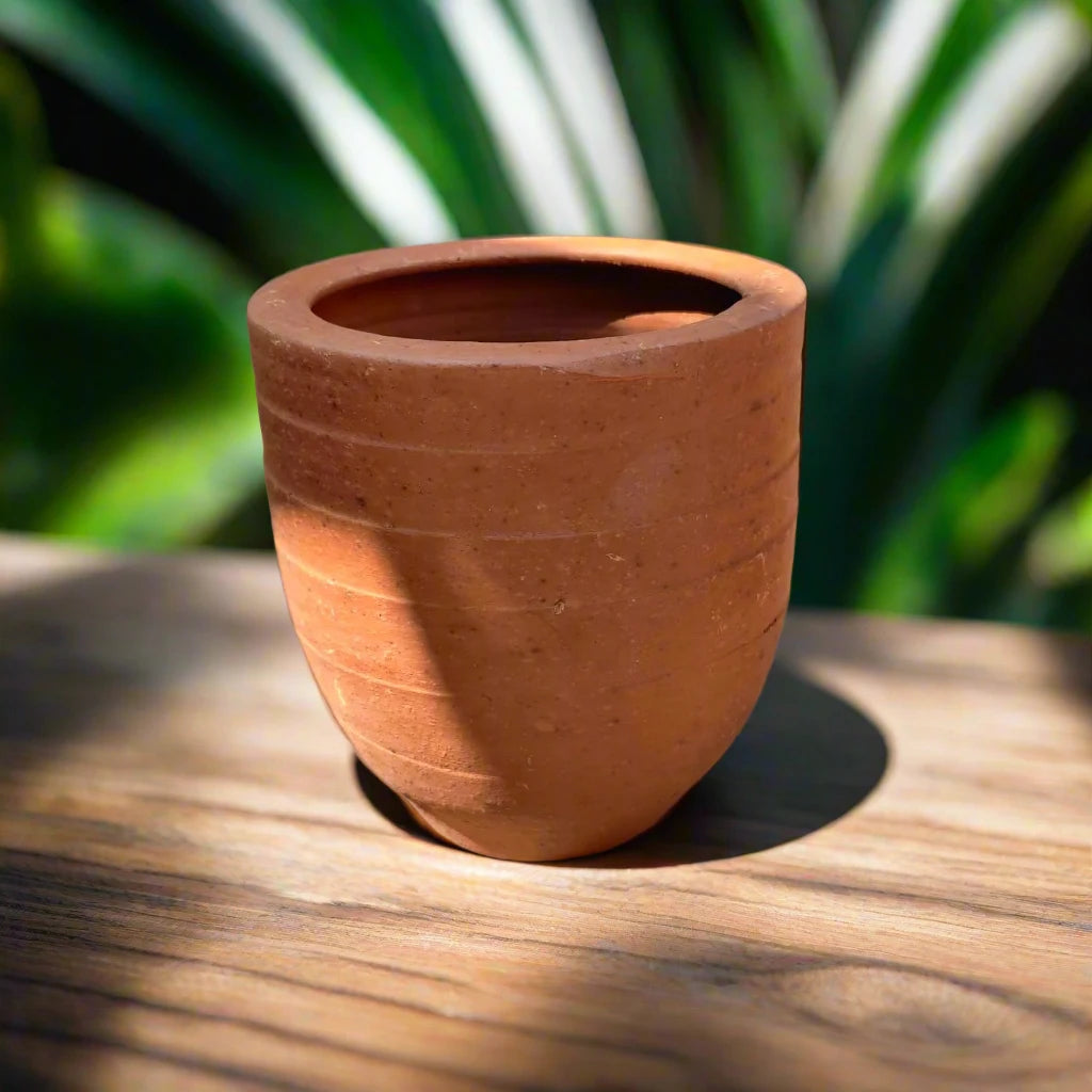 Buy terracotta plant pot 