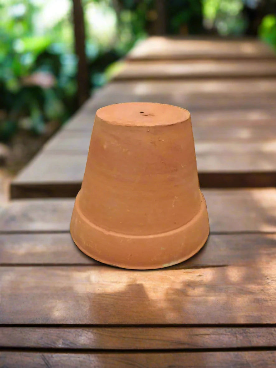 Buy Clay Pot Online