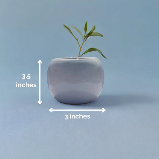 Pure Serene (Ceramic Pot)