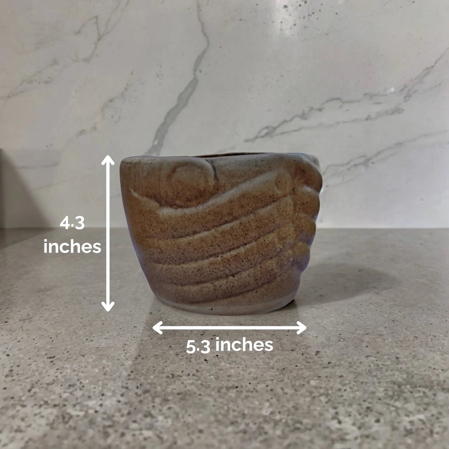 Earthy Elegant (Ceramic Pot)
