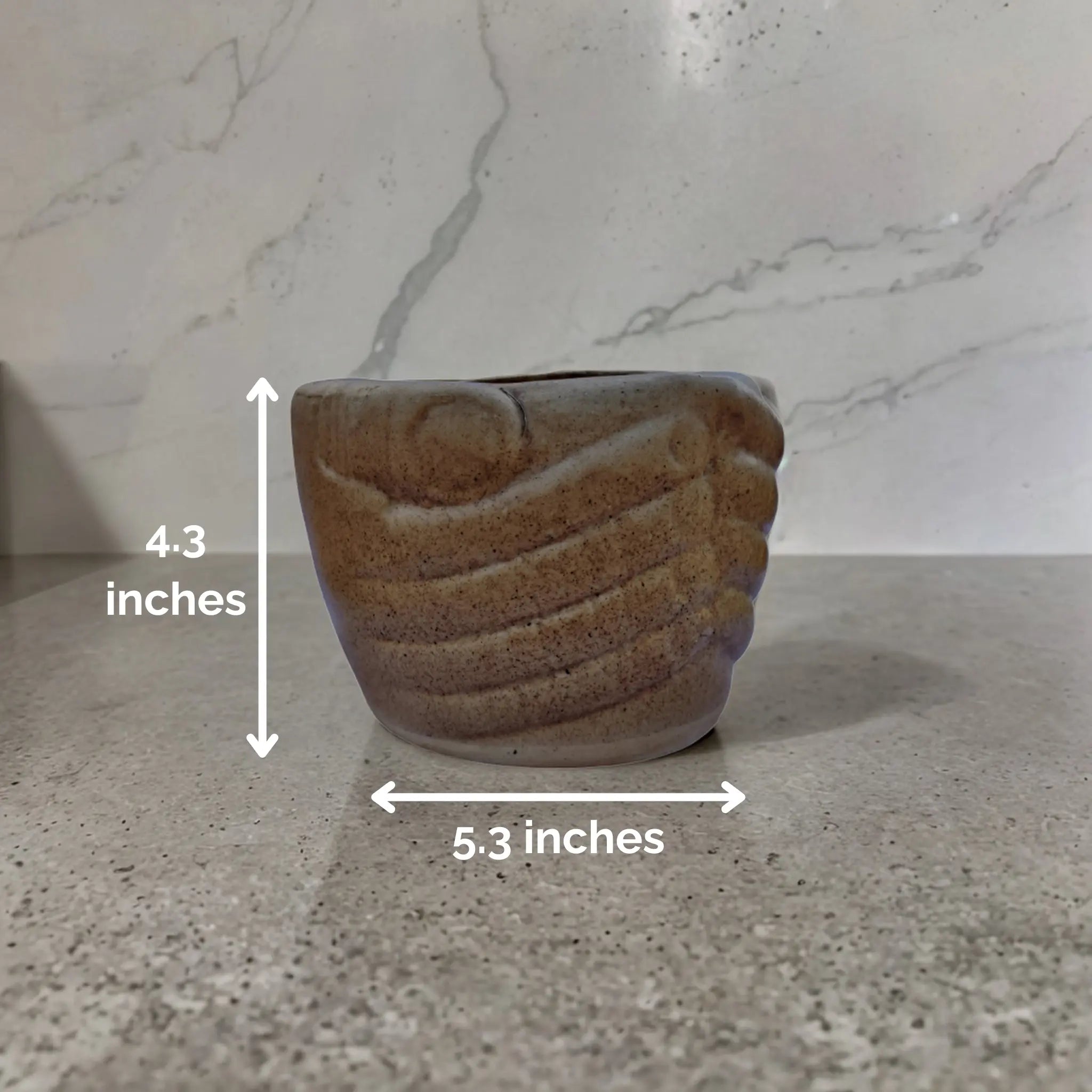 Earthy Elegant (Ceramic Pot)