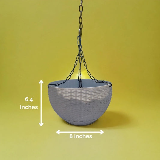 Hanging Haven (Plastic Pot)