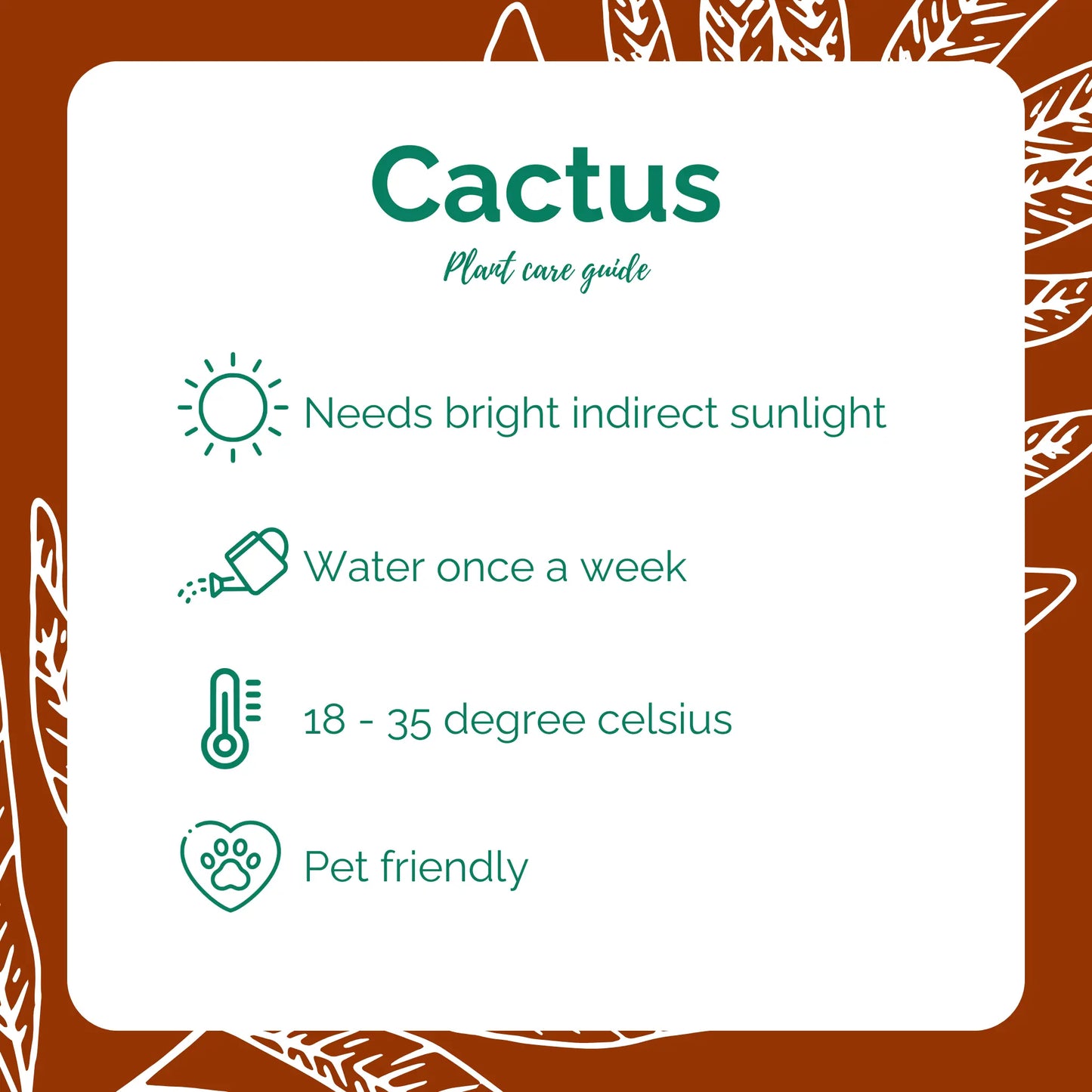 Cactus
