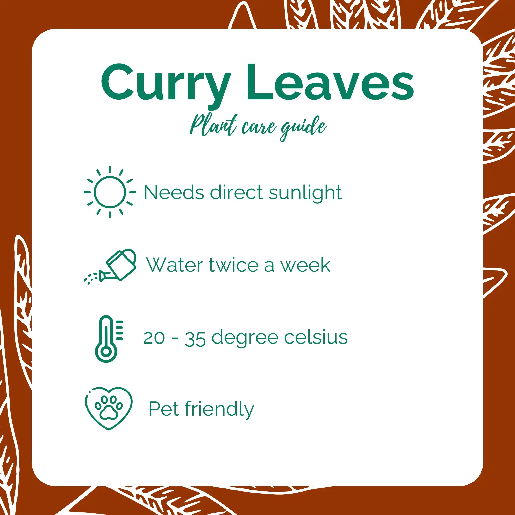 Curry Leaves