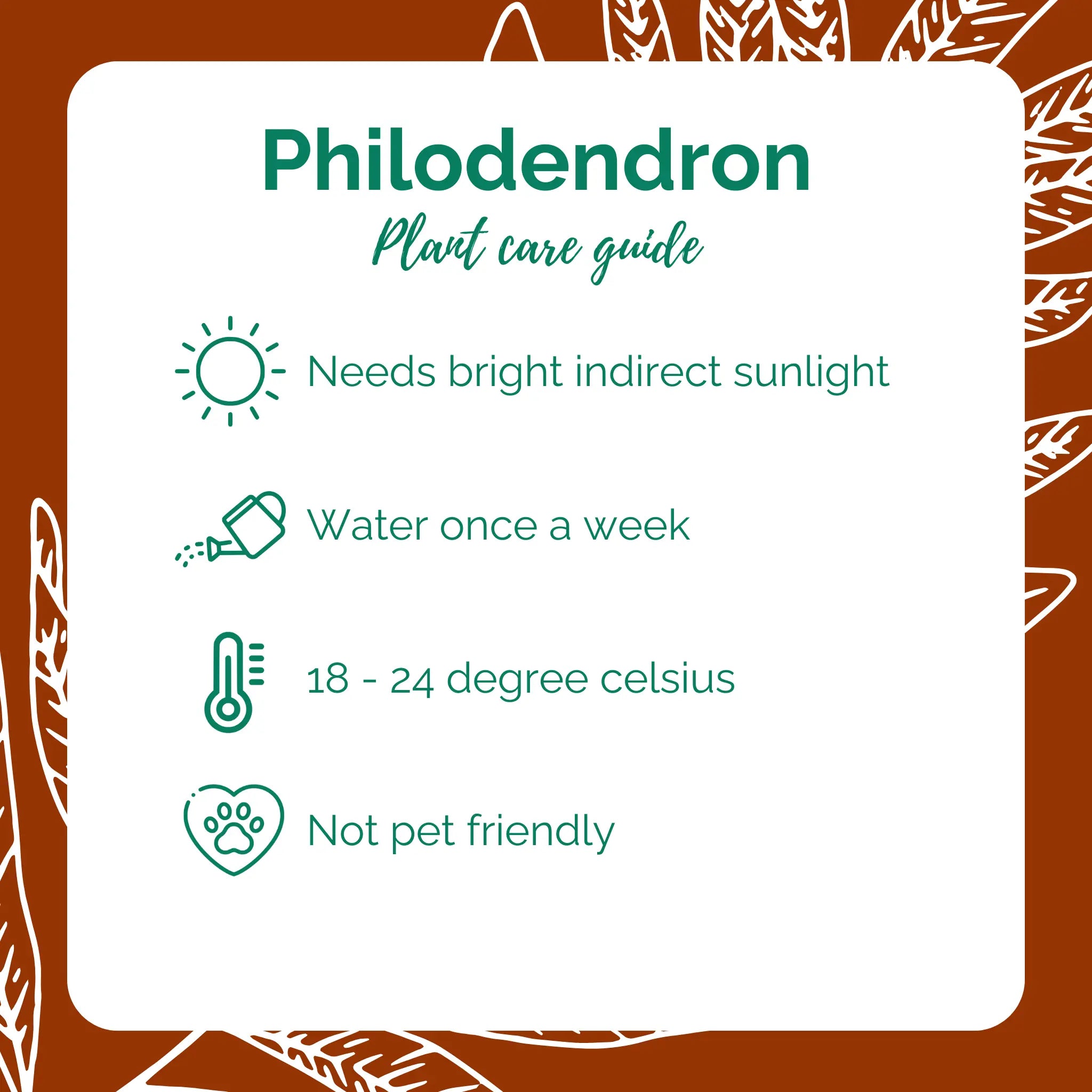 Green Philodendron