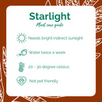 Starlight (nursery bag)